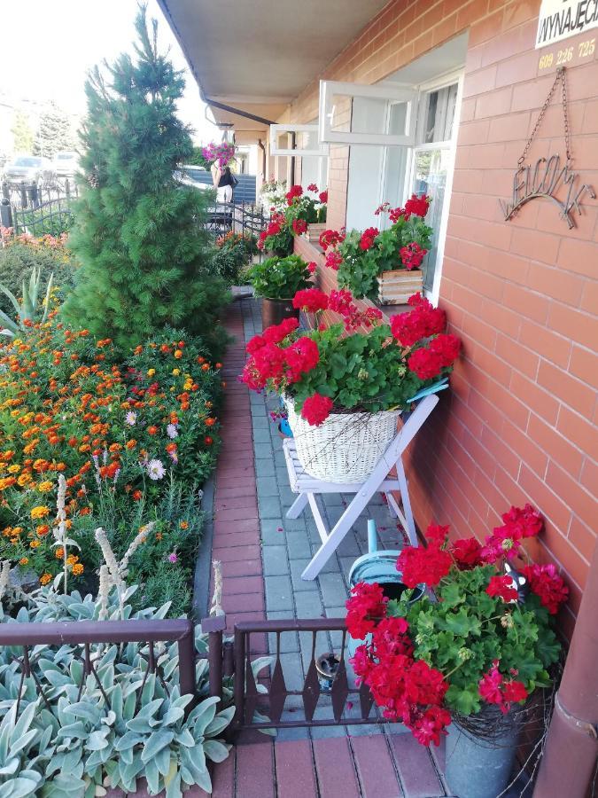 Homestay Gucio *