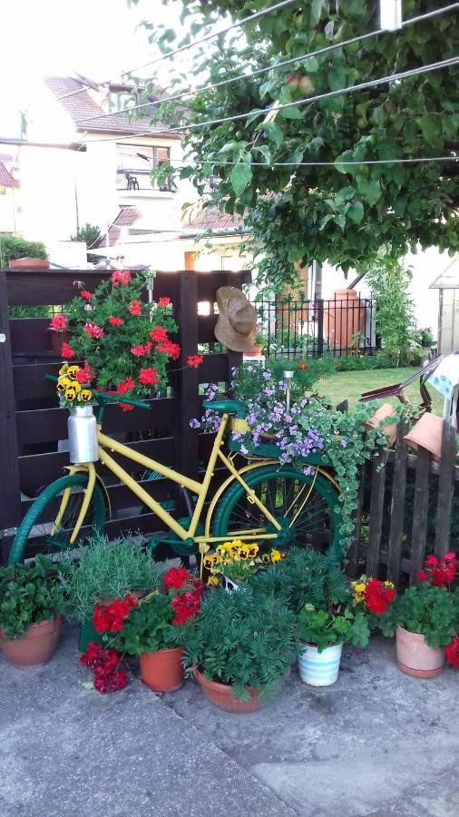 Gucio Homestay Leba