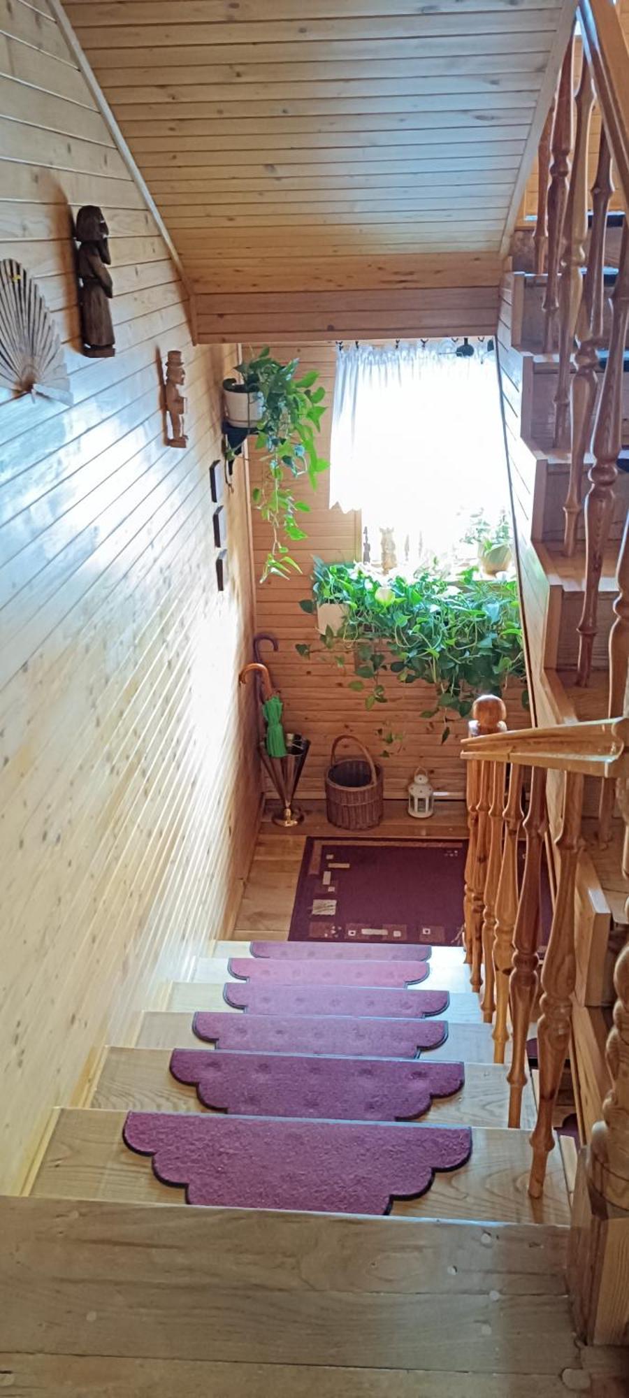 Gucio Homestay